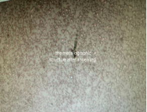 1728387246203 1728387246203